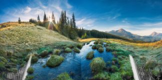 Le Créateur – Quel que soit votre Choix