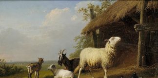 S’élever ou Disparaître