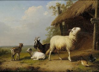 S’élever ou Disparaître