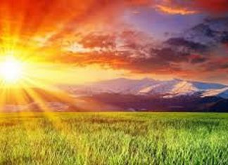 Le Créateur – Excellent travail !