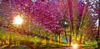 De l’Unité : La vérité est exigeante