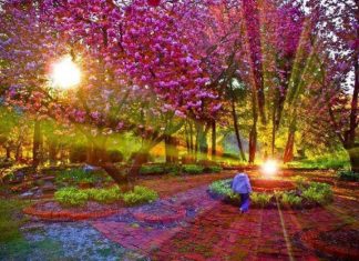 De l’Unité : La vérité est exigeante