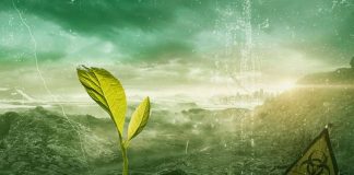 Le Poisson Pourrit par la Tête