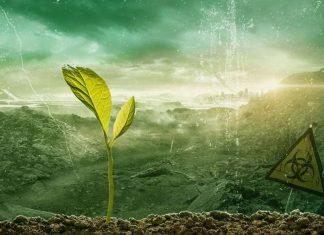 Le Poisson Pourrit par la Tête