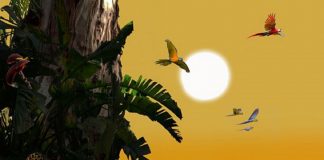 Les Outils pour Rester Centrés