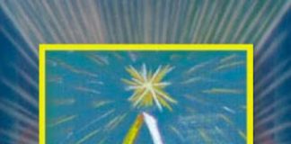 Les Antariens – Nous sommes tous des êtres multidimensionnels