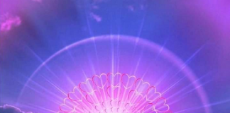 Guidances aux Maîtres en Conscience #3