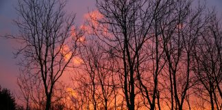 Message aux travailleurs de Lumière – 26 février 2021