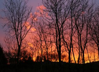 Message aux travailleurs de Lumière – 26 février 2021