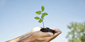 Le Créateur – Une Croissance Accrue