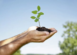 Le Créateur – Une Croissance Accrue