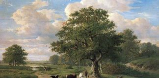 Savoir Ressentir la Lumière en SOI