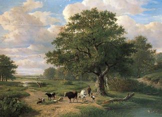 Savoir Ressentir la Lumière en SOI