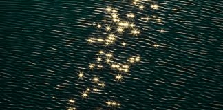 La Confiance se Construit