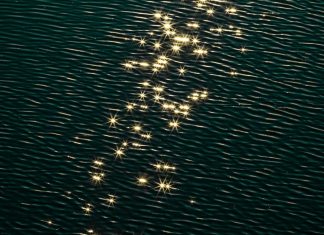 La Confiance se Construit