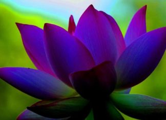 Il n’est aucun péril