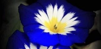 Nouveau, propre et ouvert