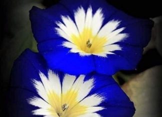 Nouveau, propre et ouvert