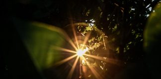 Un réglage permanent