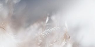 Une plus grande sécurité