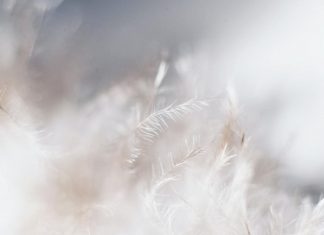 Une plus grande sécurité