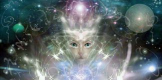 Jeux d’égo toxiques