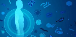 Comment renforcer votre Système Immunitaire ?