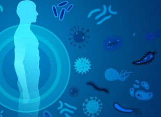 Comment renforcer votre Système Immunitaire ?