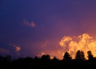 Message aux Travailleurs de Lumière – 5 mars 2021