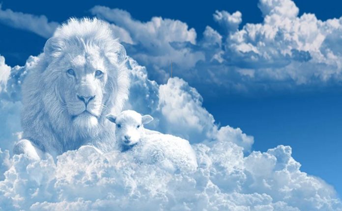 Nuage - Lion - Mouton