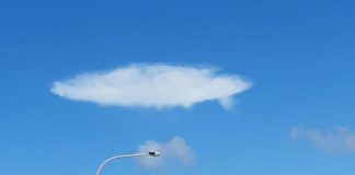 Enraciné Vous Êtes, en Vérité Vous Êtes – Dimanches Sirien #2