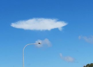 Enraciné Vous Êtes, en Vérité Vous Êtes – Dimanches Sirien #2