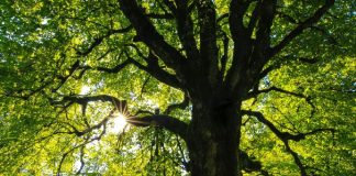 Nous voulons juste le bien de tous