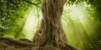 Reconnexion à tous les plans pour une meilleure construction.