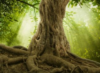 Reconnexion à tous les plans pour une meilleure construction.