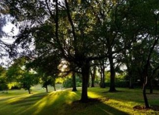 Message aux Travailleurs de Lumière – 19 mars 2021