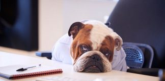 Le Créateur – l’accalmie