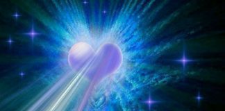 Nourrir son étincelle