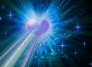 Nourrir son étincelle