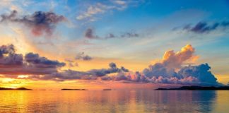 Ayez confiance dans ce qui s’en vient