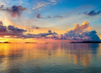 Ayez confiance dans ce qui s’en vient