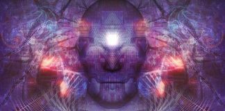 Restez endormis et naïfs et tout ira bien …!