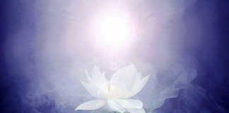 Vous ne Pouvez Plus Vous Cacher