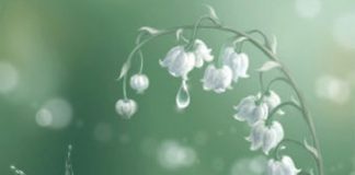 La Femme Clochette, Reconnexion au Sacré