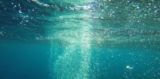 L’Esprit Utilise Tout à l’Avantage de Tous