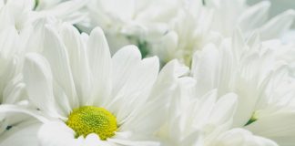 Je vous Remercie et Je vous Bénis