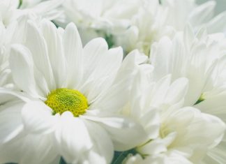 Je vous Remercie et Je vous Bénis