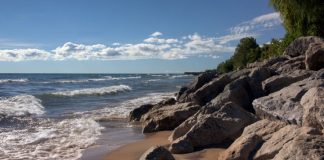 Message aux Travailleurs de Lumière – 12 mars 2021