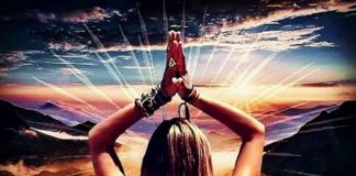 Vous Êtes un Maître