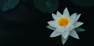 L’Inconfort d’une Invention